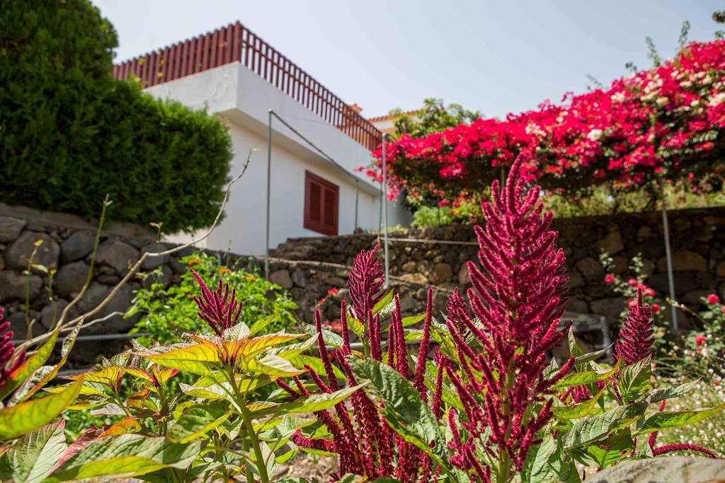Casa Hedera Holiday home *
